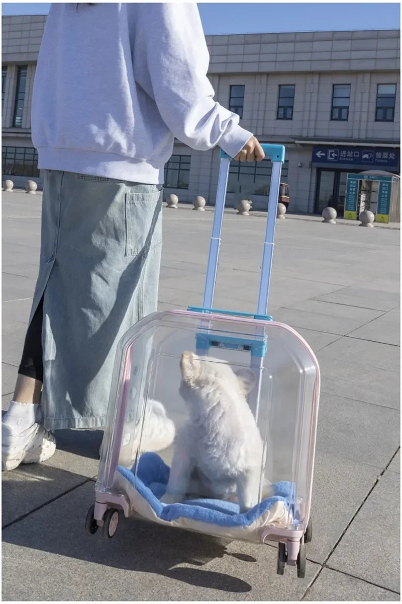 Pet Cat Carrier Out Trolley Case Portable Large Capacity Dog Bag Transparent Breathable Cat Backpack Transporter Pet Supplies