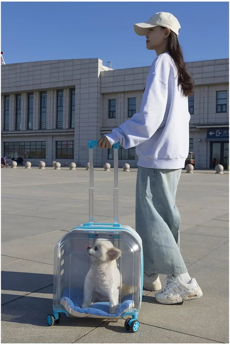 Pet Cat Carrier Out Trolley Case Portable Large Capacity Dog Bag Transparent Breathable Cat Backpack Transporter Pet Supplies