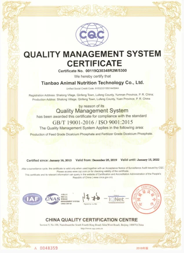 New Standard Buddha Bless Ring Stainless Steel Buddhism Jewelry Rings Wholesale Price