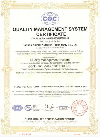 New Standard Buddha Bless Ring Stainless Steel Buddhism Jewelry Rings Wholesale Price