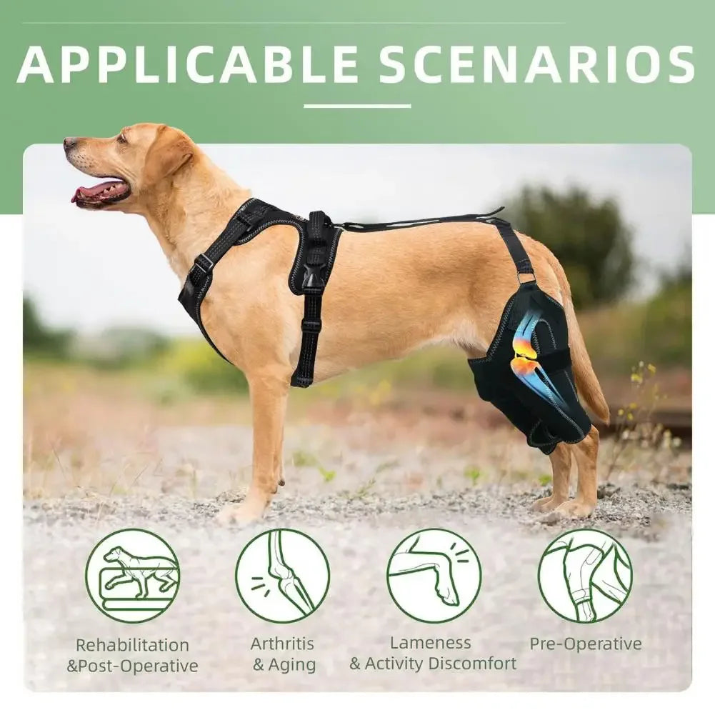 Dogs Knee Brace Dog Hip Knee Leg Brace ACL Support for Hip Dysplasia Dog Arthritis Luxating Patella Pet Leg Support Brace