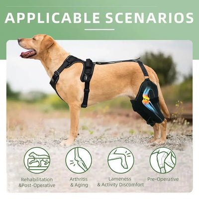 Dogs Knee Brace Dog Hip Knee Leg Brace ACL Support for Hip Dysplasia Dog Arthritis Luxating Patella Pet Leg Support Brace