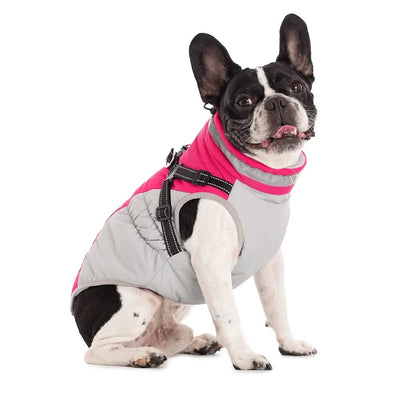Waterproof Pet Jacket With Harness Winter Warm Dog Clothes for Small Large Dogs Labrador Coat Chihuahua French Bulldog Outfits