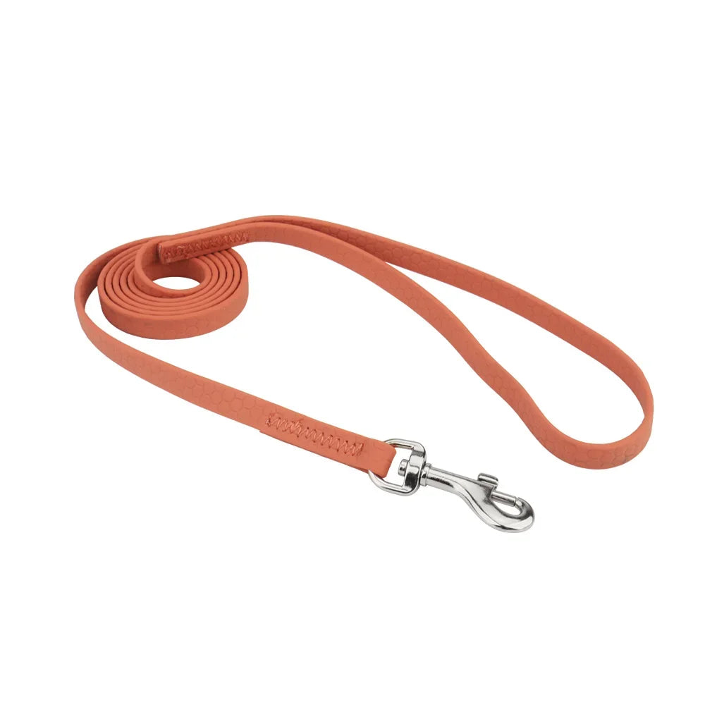 Cat Short Leash Small Dog Pet Leashes Anti-lost Guide Rope For Puppy Mini Dogs