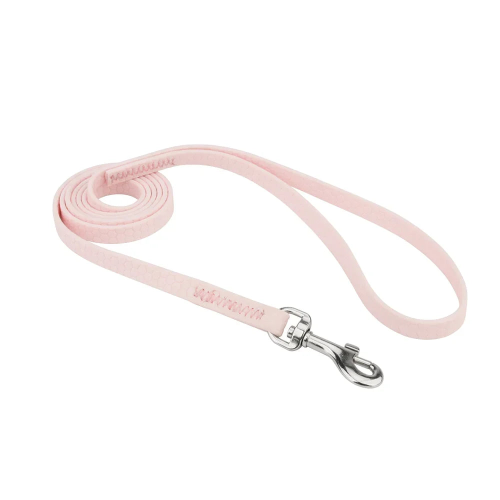 Cat Short Leash Small Dog Pet Leashes Anti-lost Guide Rope For Puppy Mini Dogs