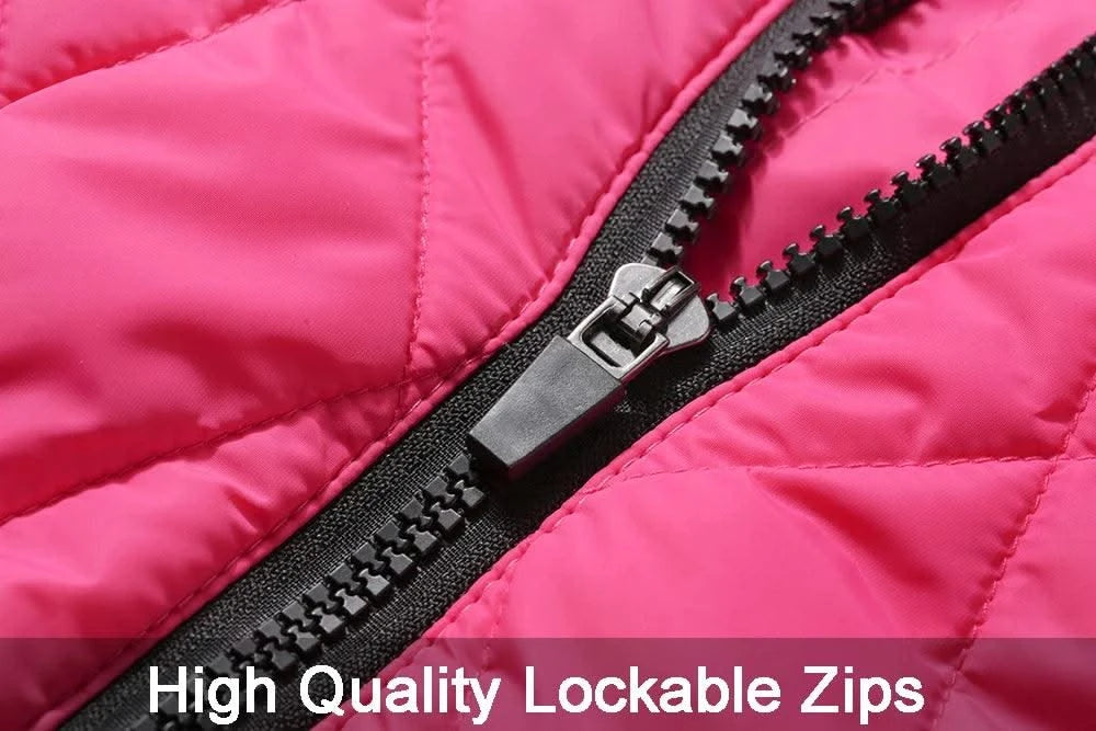 Waterproof Pet Jacket With Harness Winter Warm Dog Clothes for Small Large Dogs Labrador Coat Chihuahua French Bulldog Outfits