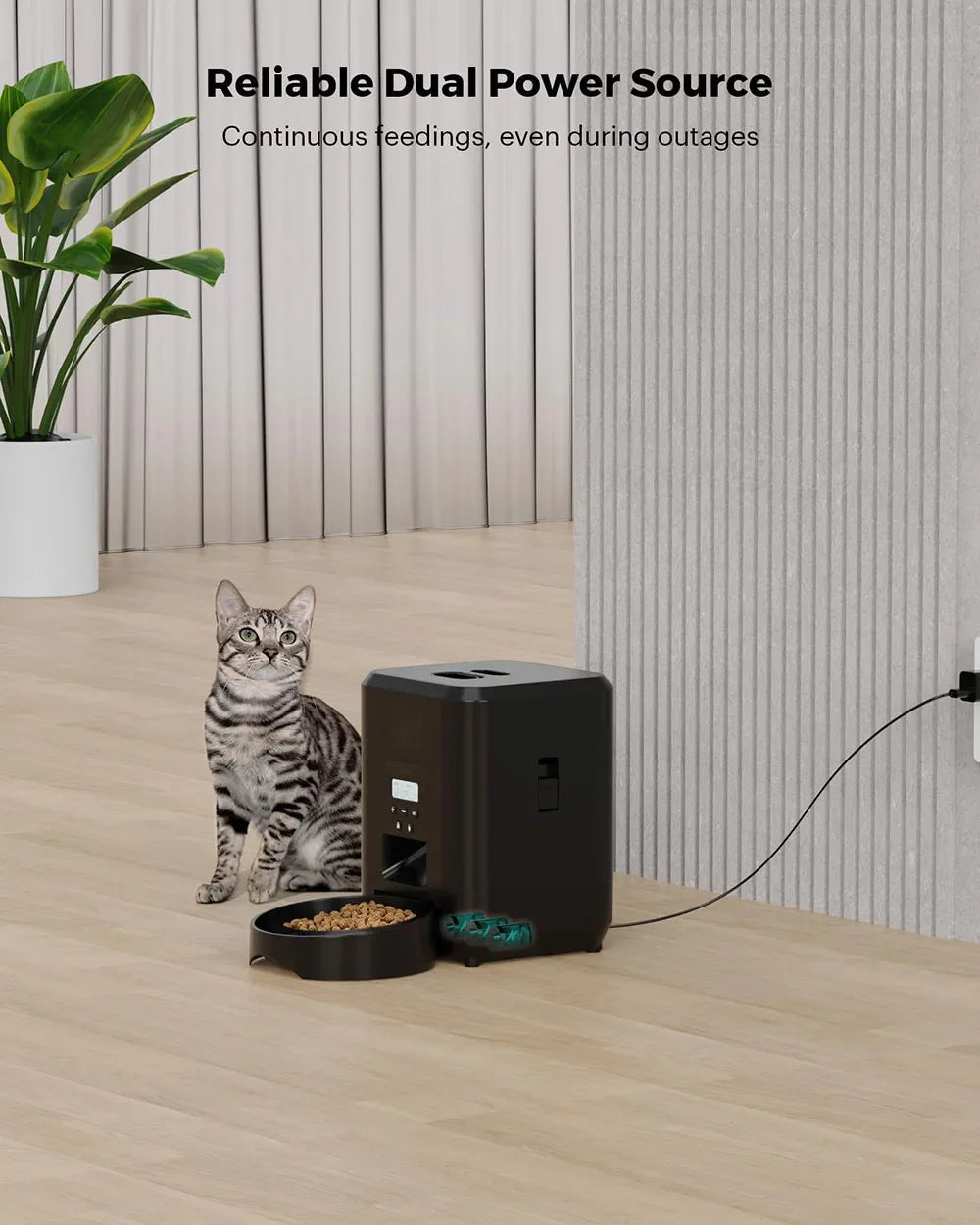 2L Automatic Pet Feeder Smart Food Dispenser For Cat And Dog Regular Quantitative Feeding With Record Feeding Bowl Pet Supplie
