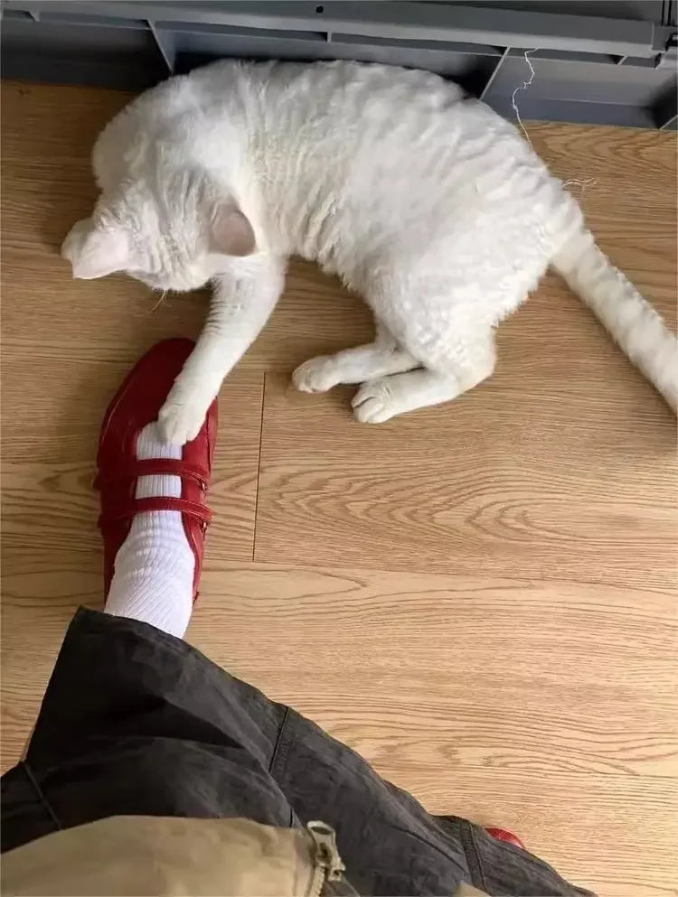 Women's Sneakers Casual Loafers Shoes Woman Sandals Flats Designer 2025 Brand New Summer New Walking Dress Zapatillas De Mujer