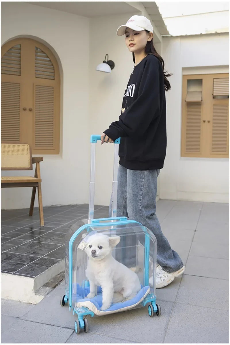 Pet Cat Carrier Out Trolley Case Portable Large Capacity Dog Bag Transparent Breathable Cat Backpack Transporter Pet Supplies
