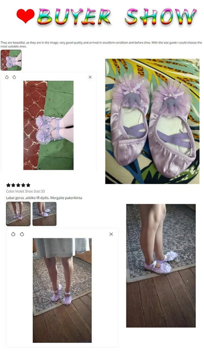 Children's Ballet Shoes Girls Professional Dance Satin Crown Lace Ballet Shoes Soft Sole Professional Training Princess Shoes