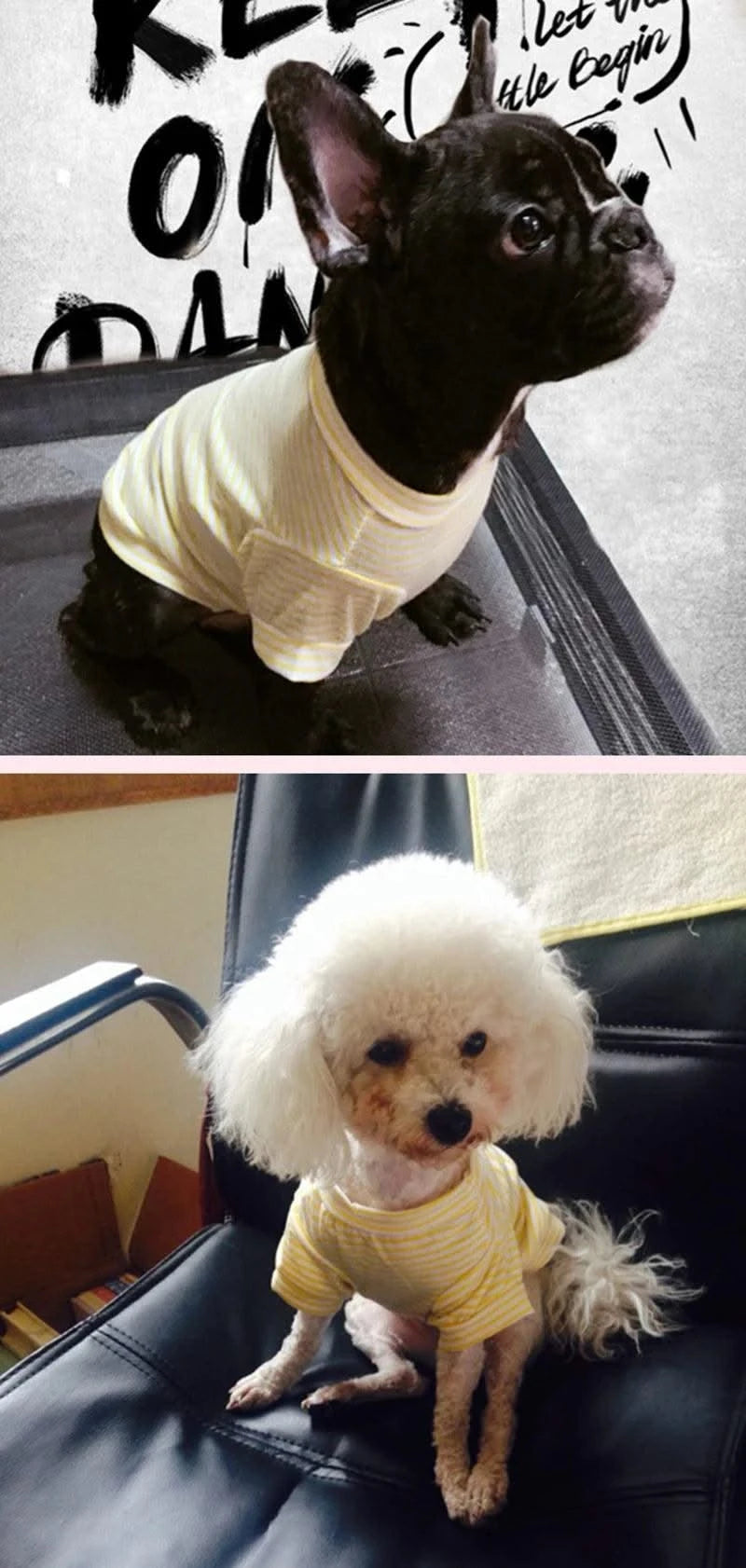 Summer Pet Dog Clothes for Small Dogs Cotton Puppy Vest Tshirt Chihuahua Shih Tzu Yorkshire Shirts Cat Outfit Pets Dogs Clothing