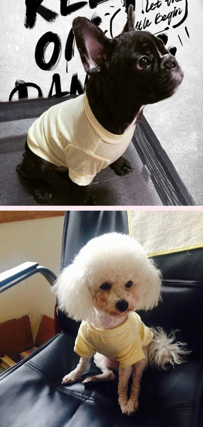 Summer Pet Dog Clothes for Small Dogs Cotton Puppy Vest Tshirt Chihuahua Shih Tzu Yorkshire Shirts Cat Outfit Pets Dogs Clothing