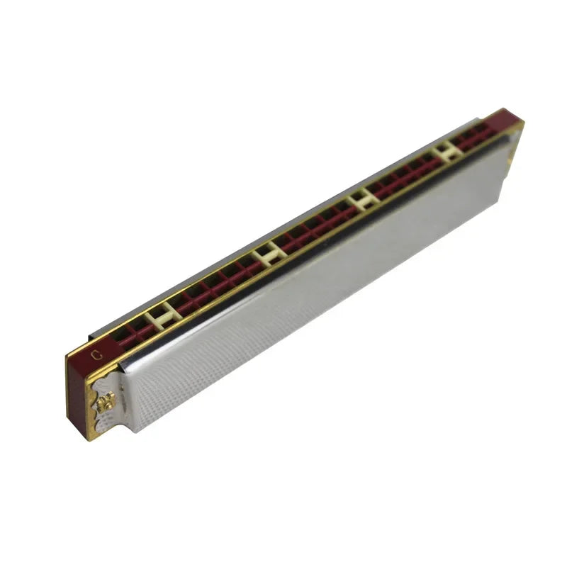 Harmonica 24 Hole with Case, Mouth Organ Harp, Diatonic Harmonica for Beginner, Adult, Professional, Students, Friends, Gifts