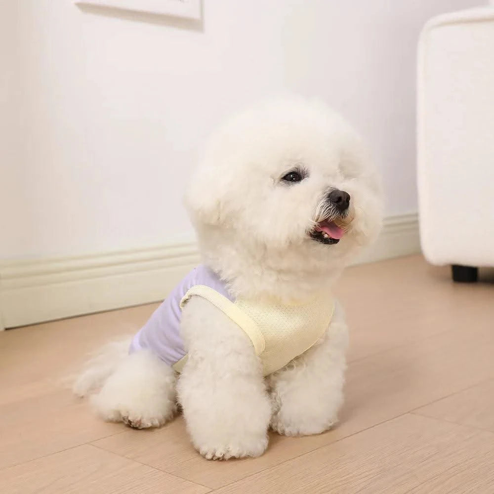 Pet Summer Cute INS  Breathable Patch Traction Tank Top Dog summer cloths  Cooling Vest for Dog  sun protective