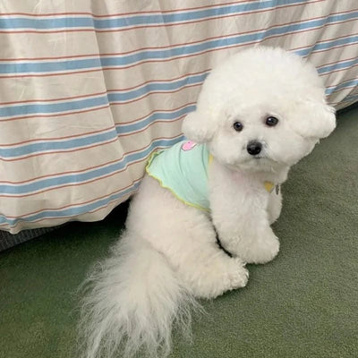 Pet Puppy Summer Clothes Pomeranian Short Vest Yorkshire Animal Print Pullover Maltese Soft Camisole Pet Supplies