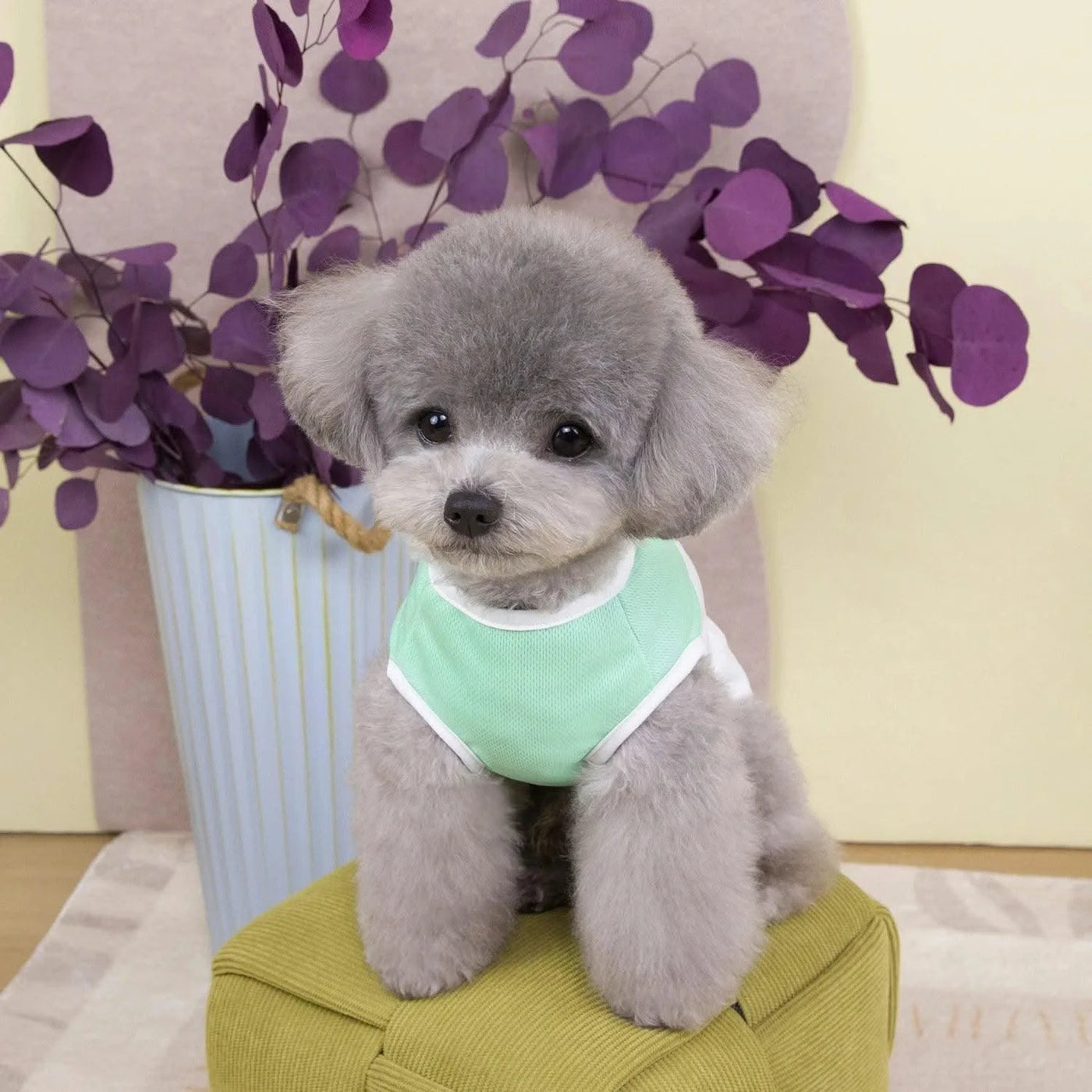 Summer Cool Dog Clothes New Dogs Pet Vest For Puppy Breathable Vest T-shirt Costume Bulldog Dog T-shirt Outdoor Pets Clothing