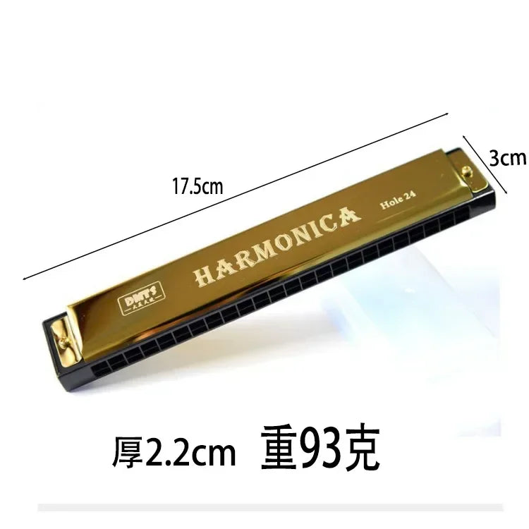 24 Hole Metal Harmonica Children's Early Education Instrument Self-learning Introductory Chromatic Color Double Row Harmonica