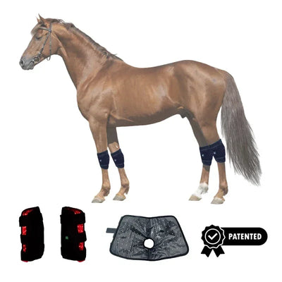 New Design Red Light Therapy Horse Knee Red Light Therapy 660nm 850nm Equine Therapy Pain Relief