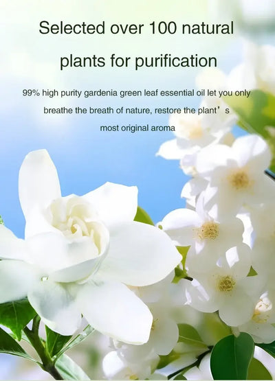 Automatic Diffuser Aromatherapy Car Perfume with Display Essential Oil Humidifier Bathroom Deodorization Air Freshener Jasmine