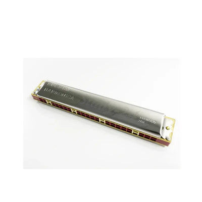 Harmonica 24 Hole with Case, Mouth Organ Harp, Diatonic Harmonica for Beginner, Adult, Professional, Students, Friends, Gifts