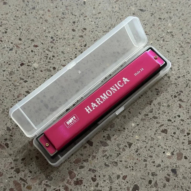24 Hole Metal Harmonica Children's Early Education Instrument Self-learning Introductory Chromatic Color Double Row Harmonica
