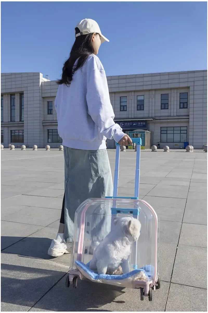 Pet Cat Carrier Out Trolley Case Portable Large Capacity Dog Bag Transparent Breathable Cat Backpack Transporter Pet Supplies
