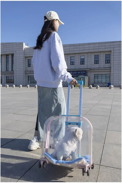Pet Cat Carrier Out Trolley Case Portable Large Capacity Dog Bag Transparent Breathable Cat Backpack Transporter Pet Supplies