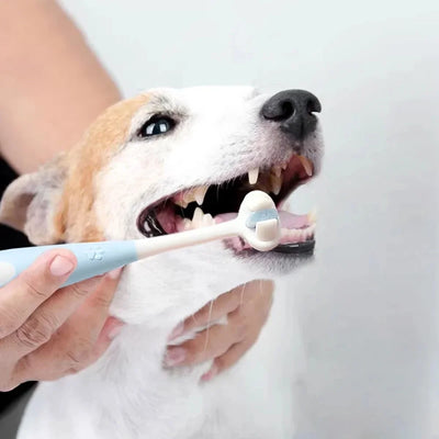Pet Toothbrush 360 Degree 3-Sided Brush Head Cleans Gentle On Gums And Teeth Dog Cat Toothbrush Toothpaste Set