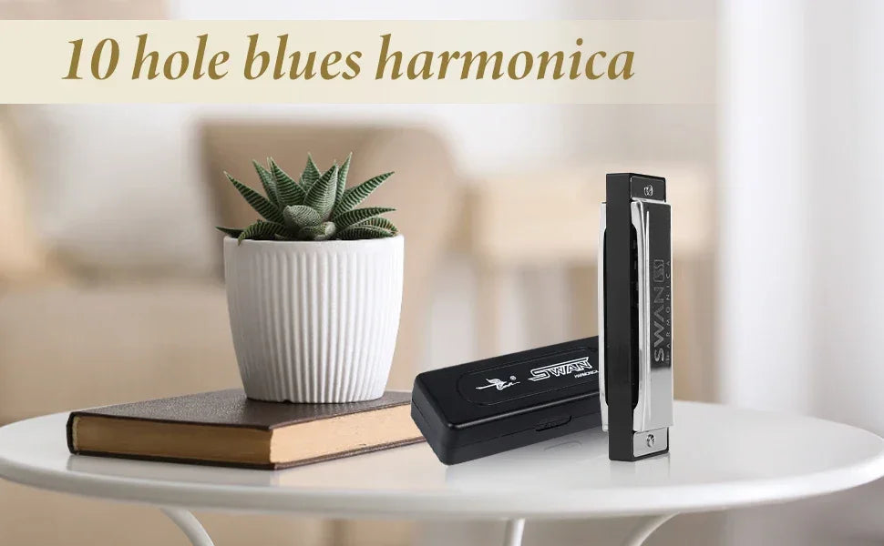 Diatonic Blues Harmonica 12 Keys Available Mouth Organ Harmonica10 Hole 20 Tone Diatonic Harp with Case for Student Teacher Gift