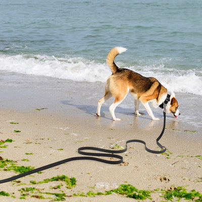 2M/3M/5M/10M PVC Long Dog Leash for Large Medium Dogs Waterproof Easy Clean Spiral Snap Ring Running Training Pet Lead