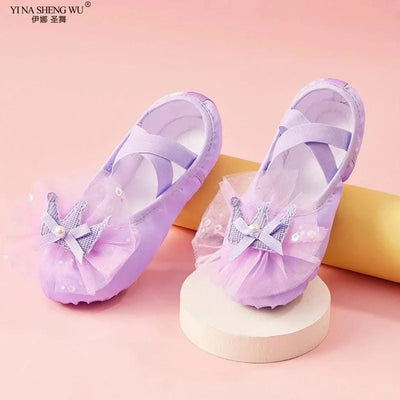 Ballet Dance Shoes for Children's Ballet Latin Dance Soft Sole Slippers Children Dance Practise Ballerina Crown Training Shoes