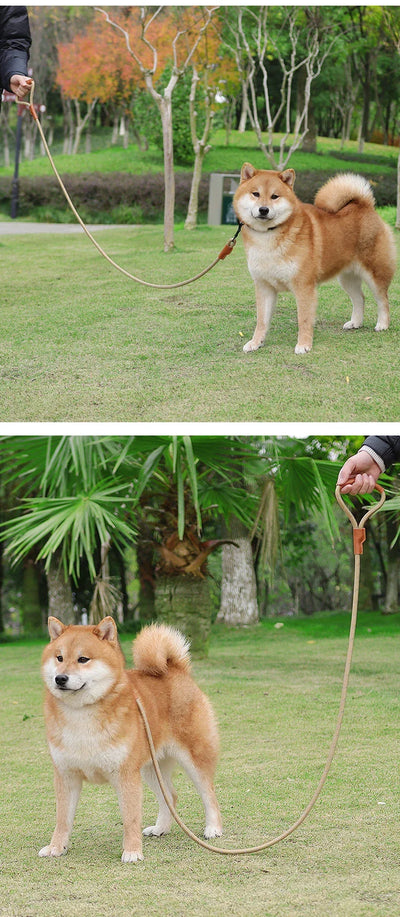 Dog Leash Reflective Lead Dog Pet Leashes Long Lanyard Walking Reflective Traction Rope for Puppy Small Medium Large Dogs