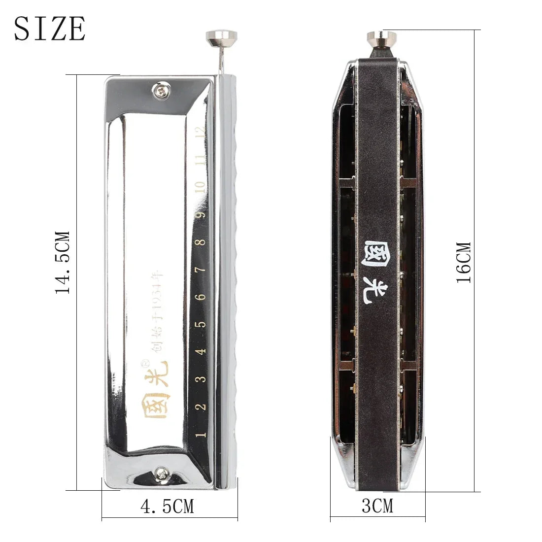 Professional Silver Chromatic Harmonica｜12-Hole 48 Tones w/Stainless Cover｜Guoguang Voice-Optimized｜Home Use for All Ages 🎶