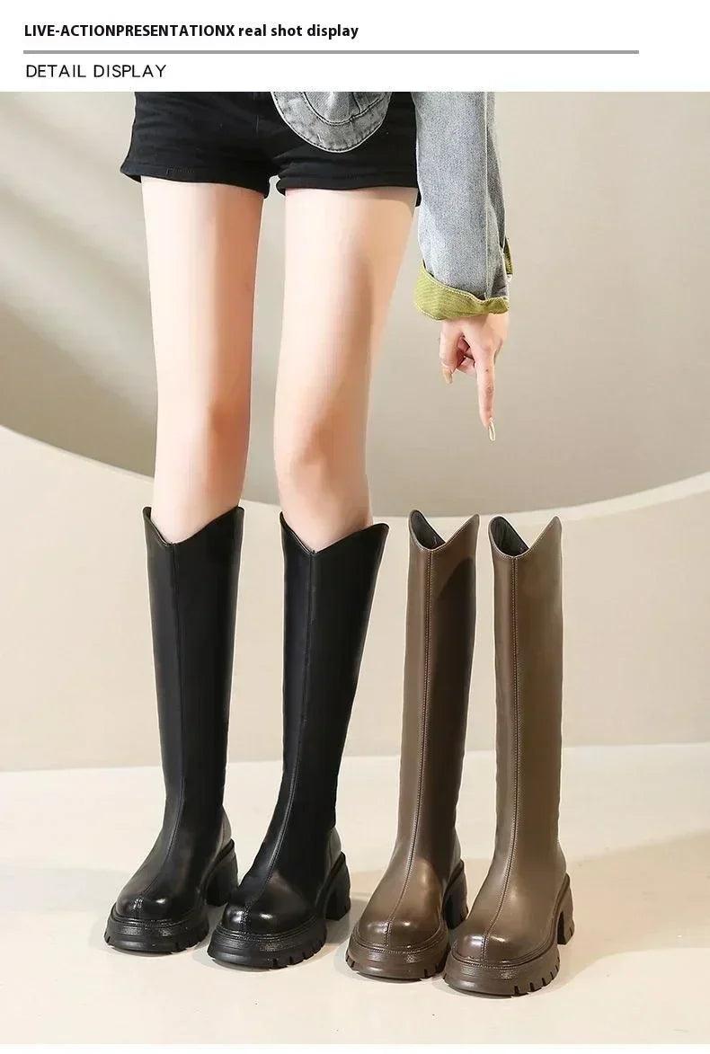 Long tube boots for women 2025 winter new height increasing knight thick heel retro versatile women’s