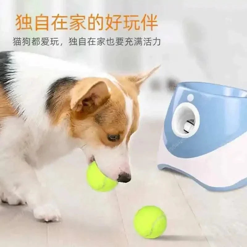 Automatic Pet Throw Jump Ball Dog Catapult Ball Launcher Dog Toy Bulldog Toy Tennis Machine Automatic Pet Throw