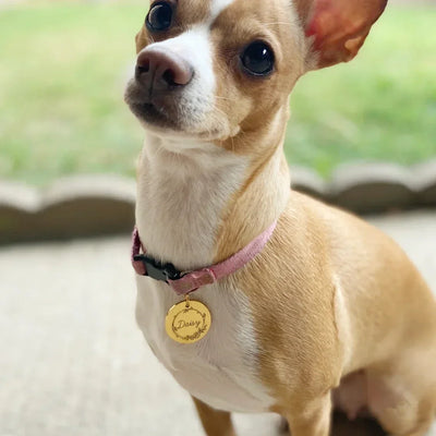 Custom Engraved Name Date Round Coin Stainless Steel Personalized ID Tag  Accessory Jewelry Pendant Fit for Bracelet Necklace