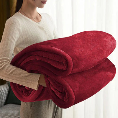 Thicken Warm Soft Blanket for Fall Winter Spring All Season Fuzzy Microplush Lightweight Fleece Winter Blankets for Bed Sofa