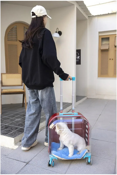 Pet Cat Carrier Out Trolley Case Portable Large Capacity Dog Bag Transparent Breathable Cat Backpack Transporter Pet Supplies
