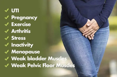 Plus Size Leak Proof Menstrual Panties Women Underwear Period Cotton Pregnancy Waterproof Briefs Physiological Breathable Pants