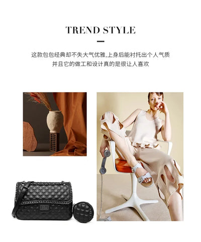 Famous Designer Women's Handbag With Premium Leather, Elegant Messenger Bag For Everyday Use, Classic Luxury Style