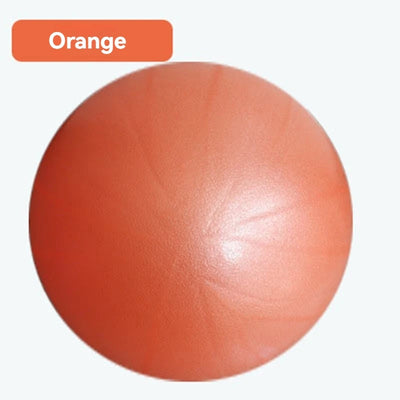 Yoga Ball-Matte Textured Reinforced Anti-Burst Back-Supporting Ball with Handles Gymnastics Ball Fitness Pilates Ball