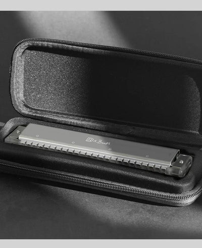 JDR Polyphonic Harmonica 24 Holes Professional Tremolo Mouth Organ T2406S Harmonica For Adults, Professionals and Students