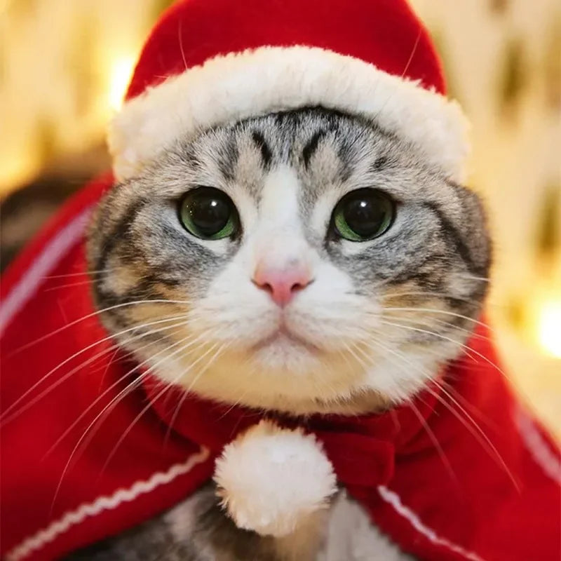 Christmas Cat Cloak Scarf Dog Pet Cosplay Costume Xmas Kitten Plush Santa Hat Funny Birthday Party Mantle Dress Up Apparel