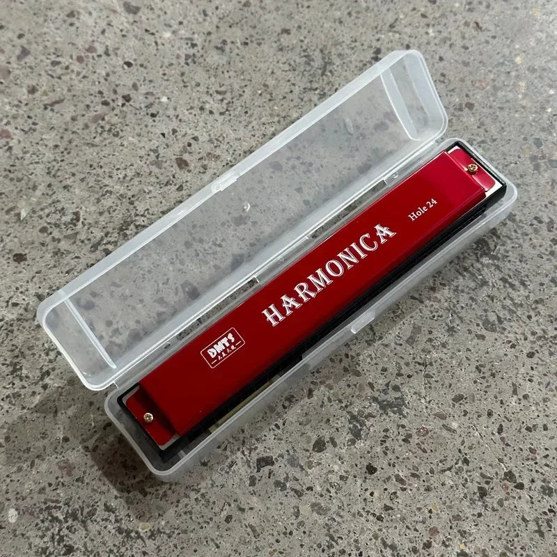 24 Hole Metal Harmonica Children's Early Education Instrument Self-learning Introductory Chromatic Color Double Row Harmonica