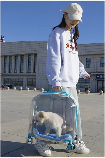 Pet Cat Carrier Out Trolley Case Portable Large Capacity Dog Bag Transparent Breathable Cat Backpack Transporter Pet Supplies