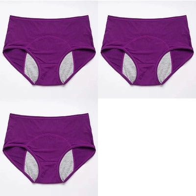 3pcs/Set Leak Proof Menstrual Panties Women Period Underwear Sexy Pants Physiological Underwear Plus Size Waterproof Briefs