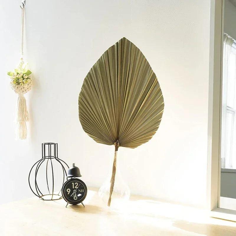 5 pieces natural dried palm leaves room decor tropical fans for a beautiful boho home wedding