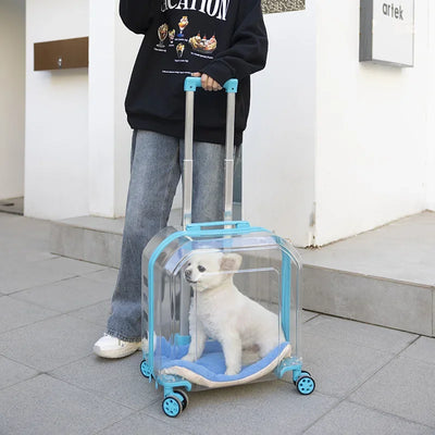 Pet Cat Carrier Out Trolley Case Portable Large Capacity Dog Bag Transparent Breathable Cat Backpack Transporter Pet Supplies