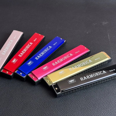 24 Hole Metal Harmonica Children's Early Education Instrument Self-learning Introductory Chromatic Color Double Row Harmonica
