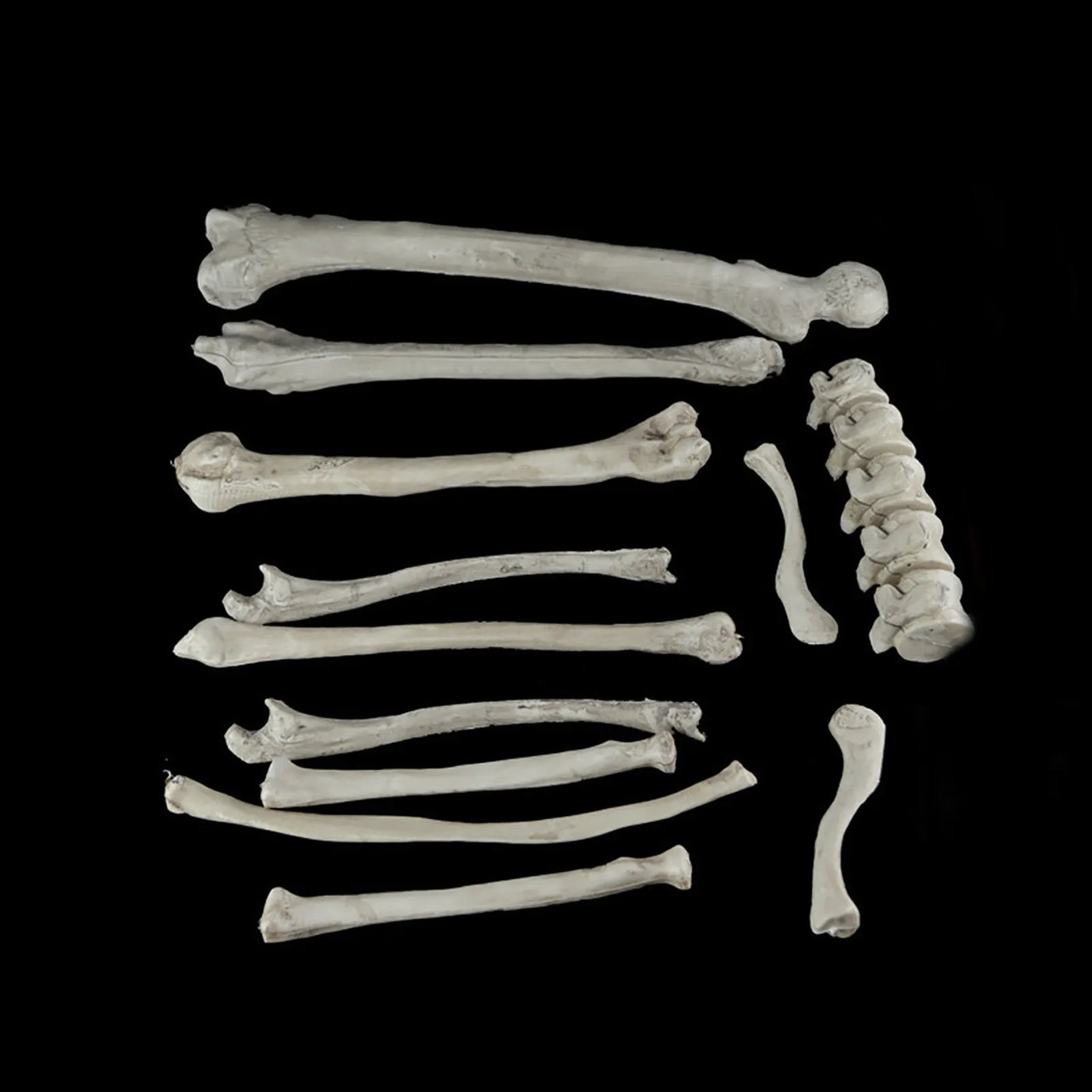 Halloween Human Skeleton Human Skeleton Halloween Horror Decorations Graveyard Decorations Haunted House Horror Skeleton Props